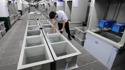 電鍍廢水重金屬超標怎么辦